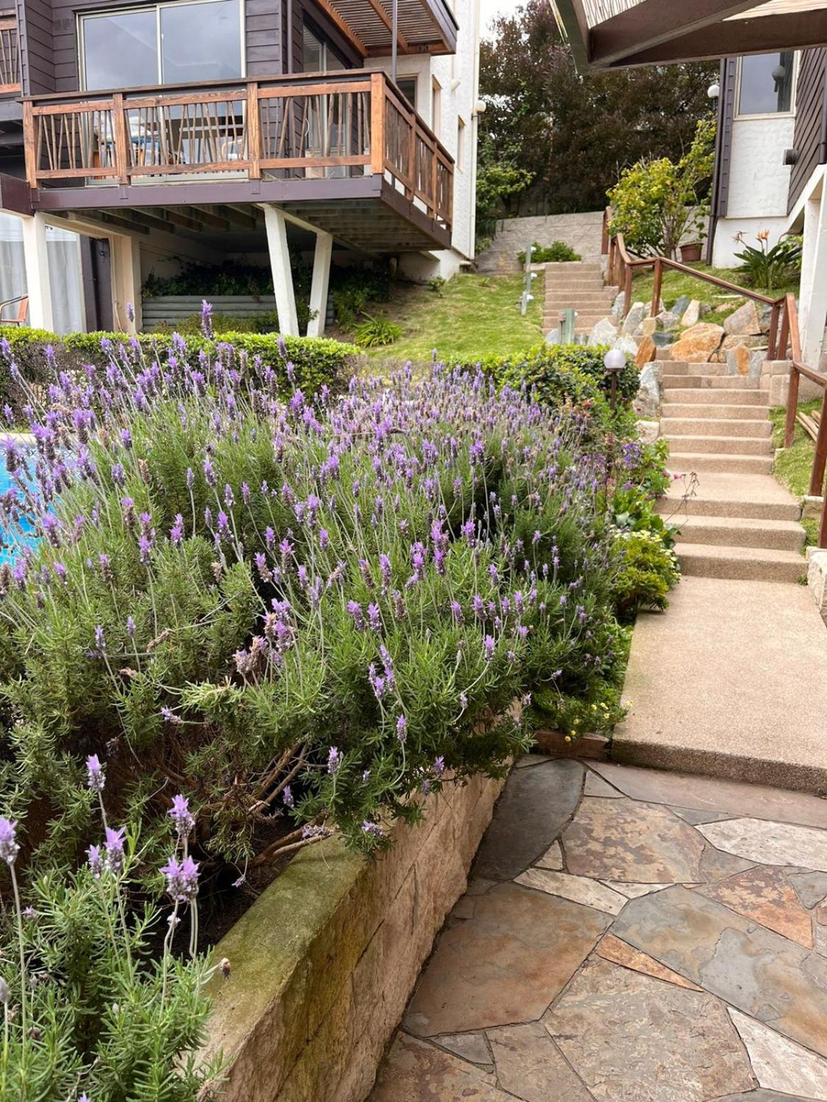 Blumen Hotel 콘콘 외부 사진